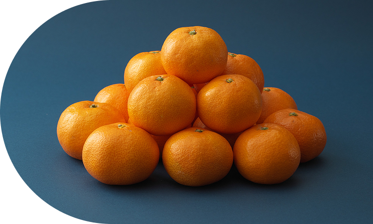 手間ひまを惜しまない！<br>水のコントロールが匠の技