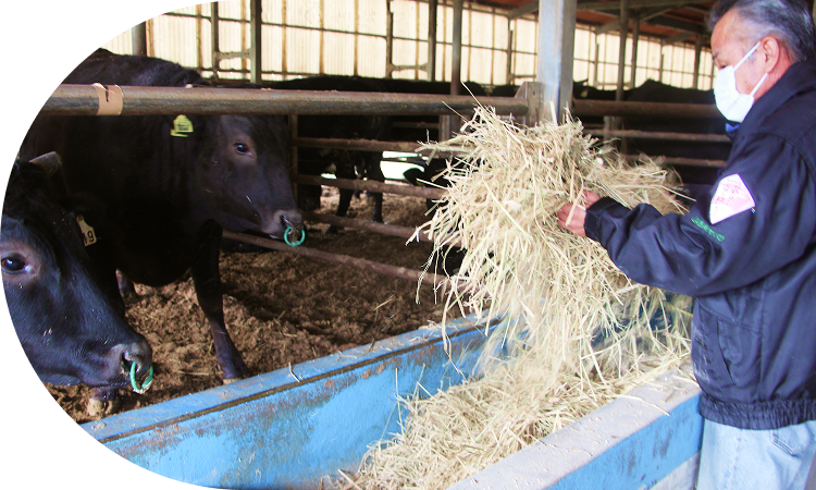 少数精鋭の生産者が協力。<br>牛肉特有の臭みが少なく、肉本来の旨味を堪能