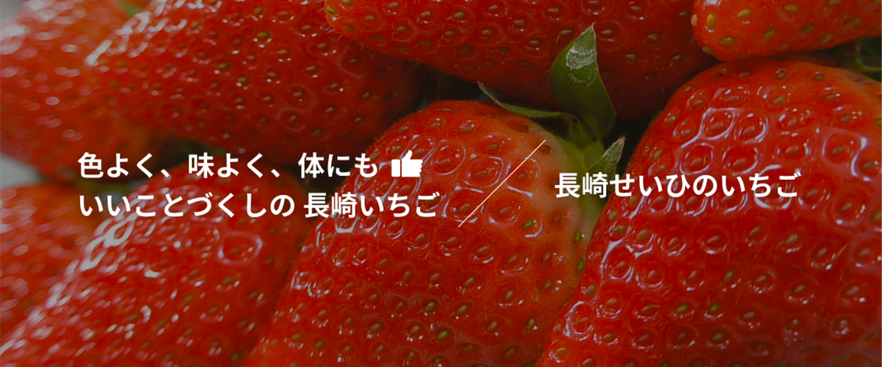 長崎のいちご