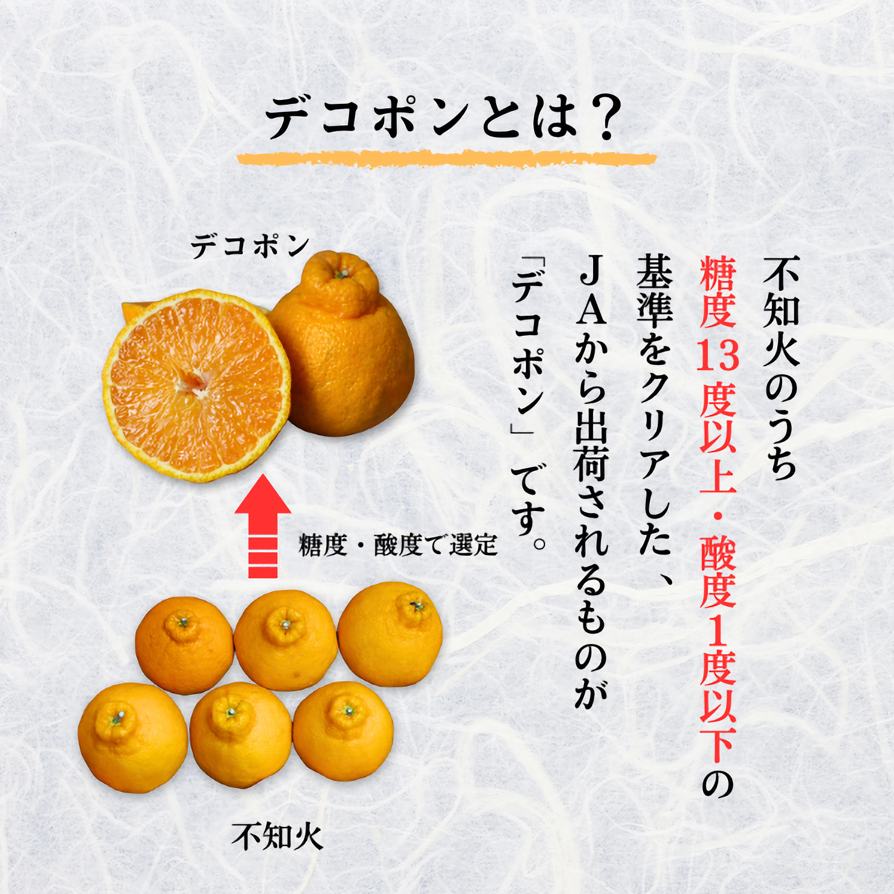長崎ハウスデコポンの商品画像 4