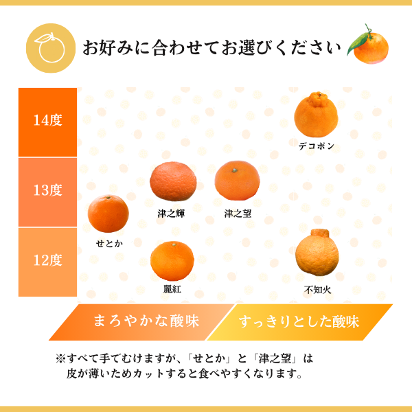 長崎ハウスデコポンの商品画像 7