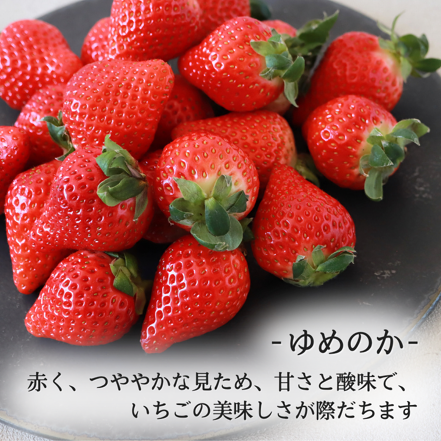 いちご2種セット | JA長崎せいひ公式オンラインショップ｜長崎県の