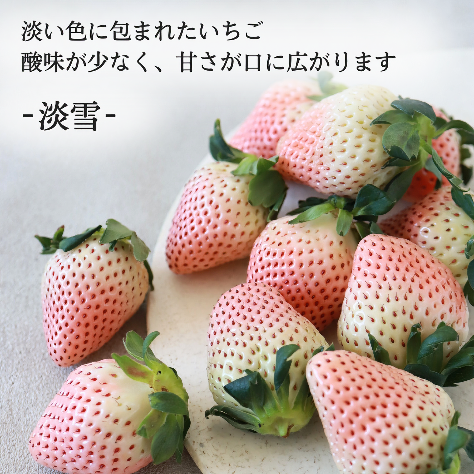 いちご_いちご_いちご2種セット