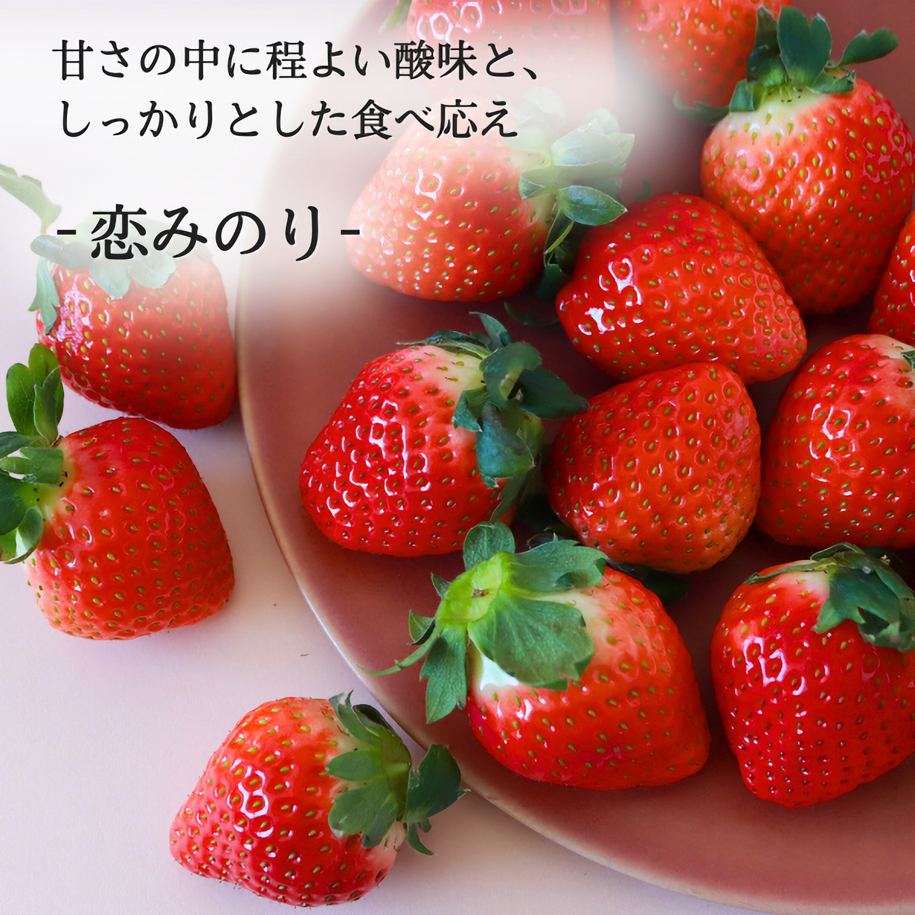 いちご2種セット | JA長崎せいひ公式オンラインショップ｜長崎県の