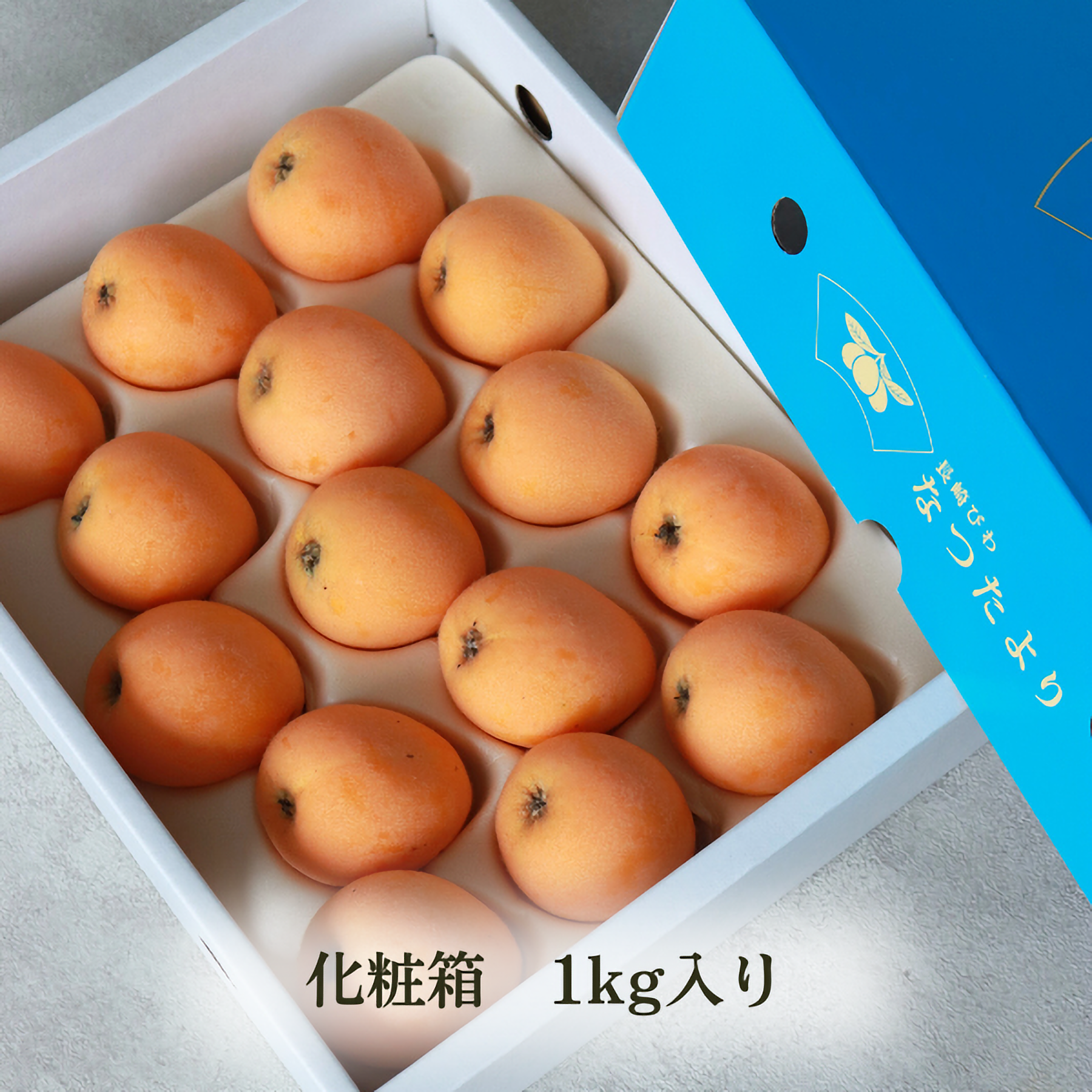 なつたより　ビワ　なつたより枇杷　PVP登録品種　枇杷剪定➕支柱付属 枇杷(びわ)の苗木 品種：なつたより果樹の苗 13.5cmポット 1年生