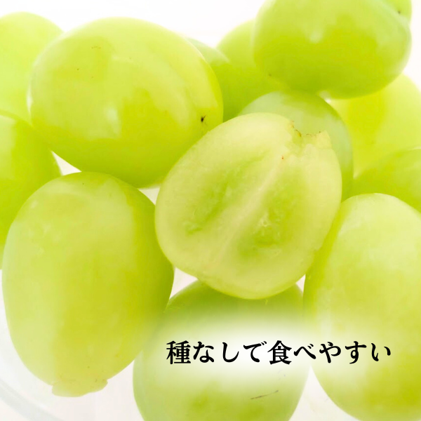 長崎ぶどう シャインマスカット | JA長崎せいひ公式オンラインショップ