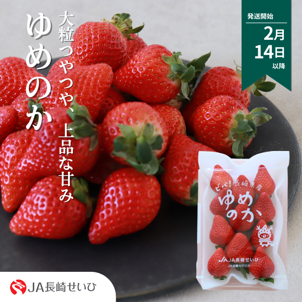 ゆめのか  ☆色、形、味、食感どれもがハイレベルなイチゴです☆彡