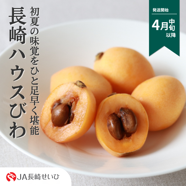 長崎ハウスびわ