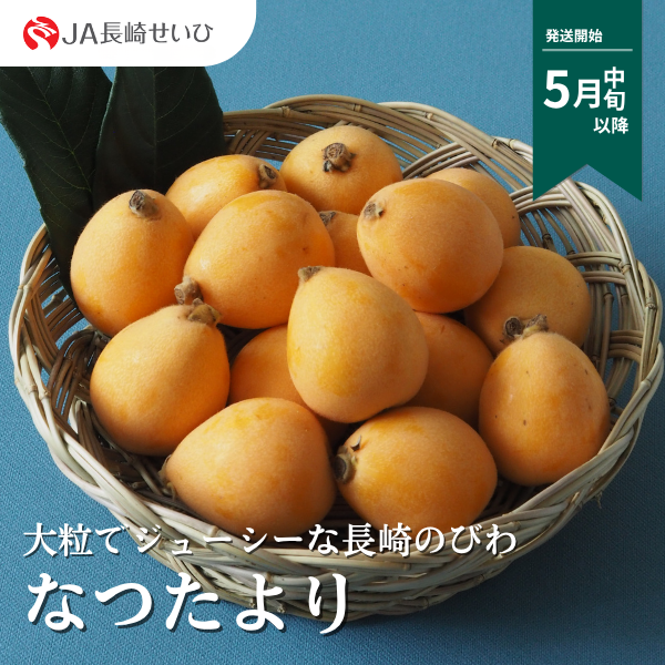 枇杷 imgrc0073757820.jpg