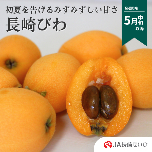 昔ながらの長崎びわ（茂木びわ等） | JA長崎せいひ公式オンライン