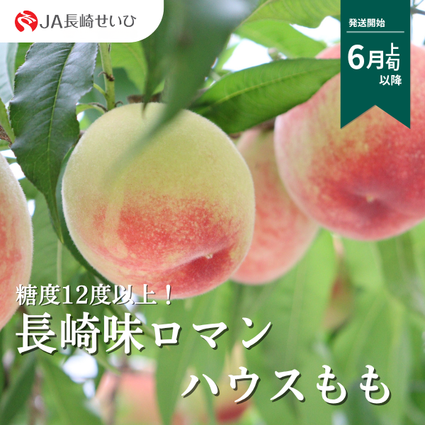 長崎味ロマン ハウスもも