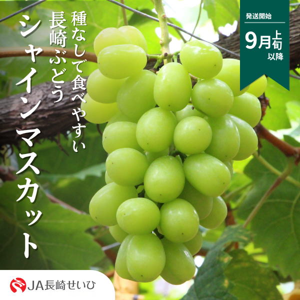 商品一覧 | JA長崎せいひ公式オンラインショップ｜長崎県の特産品のお