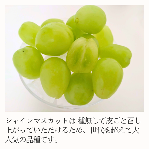 長崎ぶどう  シャインマスカットの商品画像 5