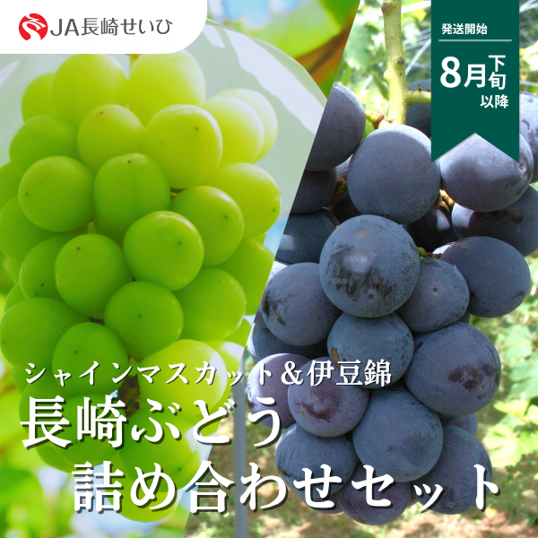長崎ぶどう詰め合わせセットの商品画像 1