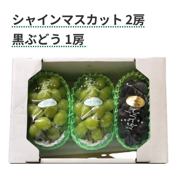 長崎ぶどう詰め合わせセットの商品画像 5