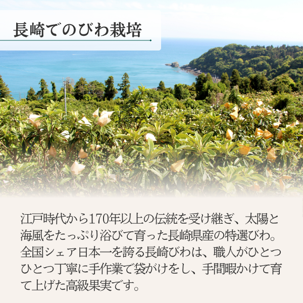 まるごとびわゼリーの商品画像 3