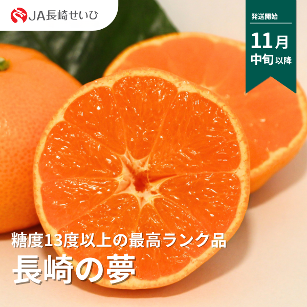 「長崎の夢」長崎 みかん