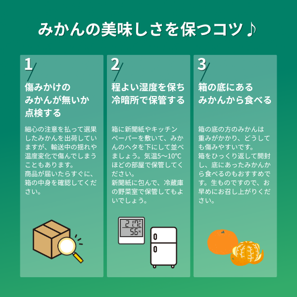 長崎みかんの商品画像 10